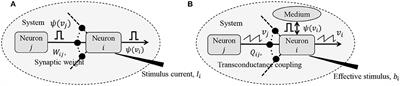 A Spiking Neuron and Population Model Based on the Growth Transform Dynamical System